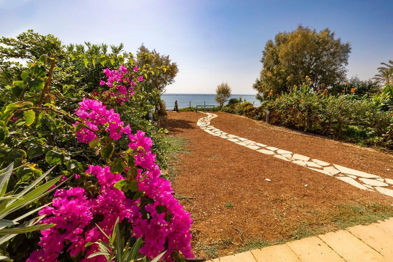 Mariliz * Larnaka